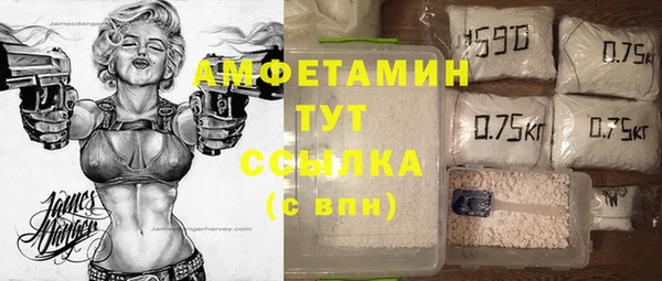 дмт Дмитриев