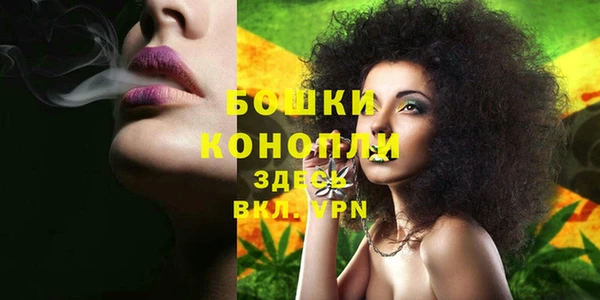 дмт Дмитриев