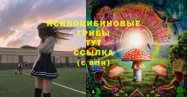 дмт Дмитриев