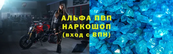 дмт Дмитриев